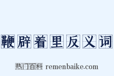 鞭辟着里反义词是什么意思的图片